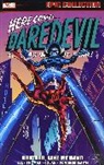 Gene Colan, Stan Lee, Lee Stan, Roy Thomas, Barry Windsor-Smith, Gene Colan - DAREDEVIL EPIC COLLECTION: BROTHER, TAKE MY HAND