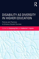 Eunyoung (Seton Hall University Kim, Eunyoung Aquino Kim, Katherine C Aquino, Katherine C. Aquino, Katherine C. (Manhattan College Aquino, Aquino Katherine C.... - Disability As Diversity in Higher Education