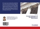 Heena Mulani - Special Techniques of Rehabilitation of Monuments