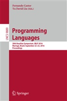 Fernand Castor, Fernando Castor, David Liu, David Liu, Yu David Liu - Programming Languages