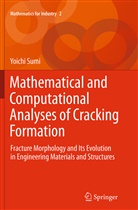 Yoichi Sumi - Mathematical and Computational Analyses of Cracking Formation