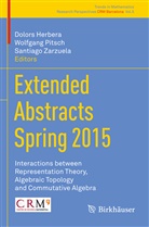 Dolors Herbera, Wolfgan Pitsch, Wolfgang Pitsch, Santiago Zarzuela - Extended Abstracts Spring 2015
