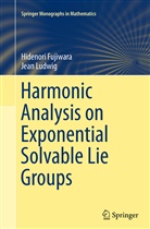Hidenor Fujiwara, Hidenori Fujiwara, Jean Ludwig - Harmonic Analysis on Exponential Solvable Lie Groups