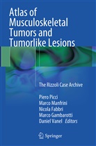 Nicola Fabbri, Nicola Fabbri et al, Marco Gambarotti, Marc Manfrini, Marco Manfrini, Piero Picci... - Atlas of Musculoskeletal Tumors and Tumorlike Lesions