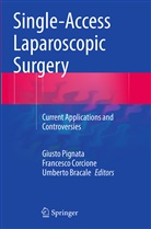 Umberto Bracale, Francesc Corcione, Francesco Corcione, Giusto Pignata - Single-Access Laparoscopic Surgery