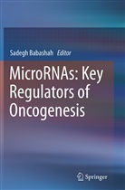Sadeg Babashah, Sadegh Babashah - MicroRNAs: Key Regulators of Oncogenesis