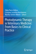 Cristian Lassálvia Nascimento, Cristiane Lassálvia Nascimento, Cristiane Lassálvia Nascimento, Martha Simões Ribeiro, Fábio Parra Sellera, Ma Simões Ribeiro - Photodynamic Therapy in Veterinary Medicine: From Basics to Clinical Practice