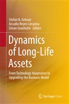 Göran Granholm, Stefan Grösser, Stefan N. Grösser, Arcadio Reyes Lecuona, Arcadi Reyes-Lecuona, Arcadio Reyes-Lecuona - Dynamics of Long-Life Assets
