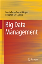 Fausto Pedro Garc&iacute;a M&aacute;rquez, Lev, Lev, Benjamin Lev, Faust Pedro Garc&iacute;a M&aacute;rquez, Fausto Pedro Garc&iacute;a M&aacute;rquez - Big Data Management