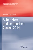 Rudiber King, Rudibert King - Active Flow and Combustion Control 2014