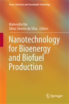 Silvio Silverio da Silva, Silvio Silvério da Silva, Mahendr Rai, Mahendra Rai, Silvio S. da Silva, Silvio Silverio da Silva... - Nanotechnology for Bioenergy and Biofuel Production