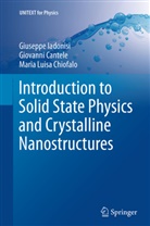 Giovann Cantele, Giovanni Cantele, Mar Chiofalo, Maria Luisa Chiofalo, Giusepp Iadonisi, Giuseppe Iadonisi - Introduction to Solid State Physics and Crystalline Nanostructures