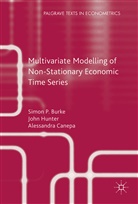Simon Burke, Simon P Burke, Simon P. Burke, Alessandra Canepa, Joh Hunter, John Hunter... - Multivariate Modelling of Non-Stationary Economic Time Series