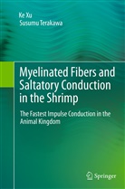 Susumu Terakawa, K Xu, Ke Xu - Myelinated Fibers and Saltatory Conduction in the Shrimp