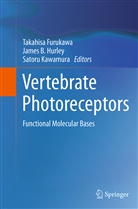 Jame B Hurley, James B Hurley, Takahisa Furukawa, James B. Hurley, Satoru Kawamura - Vertebrate Photoreceptors