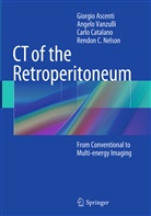 Giorgi Ascenti, Giorgio Ascenti, Carlo Catalano, Rendon C. Nelson, Angel Vanzulli, Angelo Vanzulli - CT of the Retroperitoneum