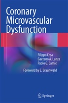 Paolo G Camici, Paolo G. Camici, Filipp Crea, Filippo Crea, Gaetano Lanza, Gaetano a Lanza... - Coronary Microvascular Dysfunction
