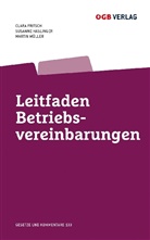 Clara Fritsch, Susanne Haslinger, Martin Müller - Leitfaden Betriebsvereinbarungen (f. Österreich)