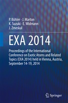 Paul Bühler, Johan Marton, Johann Marton, Ken Suzuki, Ken Suzuki et al, Eberhard Widmann... - EXA 2014