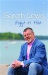 Gareth Lewis - Hogyn O''r Felin