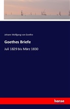 Johann Wolfgang von Goethe - Goethes Briefe