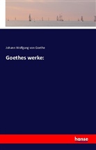 Johann Wolfgang von Goethe - Goethes Tagebücher