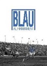 Blau al firmament : Vivències sobre el Lleida