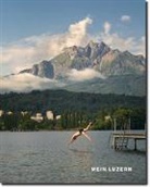 Pirmin Bossart, Matthias Burki, Rolf Dobelli, Christoph Fellmann, Heidi Gmür, Valentin Groebner... - Mein Luzern