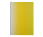 Christian Lacroix - Neon Yellow A5