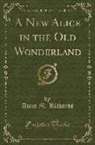Anna M. Richards - A New Alice in the Old Wonderland (Classic Reprint)
