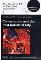 Frank Eckardt, Dieter Hassenpflug - Consumption and the Post-Industrial City