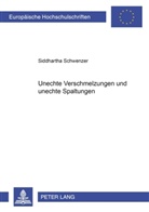 Siddhartha Schwenzer - Unechte Verschmelzungen und unechte Spaltungen