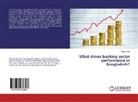 Reza Roky - What drives banking sector performance in Bangladesh?