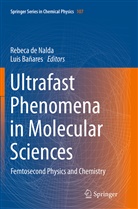 Bañares, Bañares, Luis Bañares, Rebec de Nalda, Rebeca de Nalda - Ultrafast Phenomena in Molecular Sciences