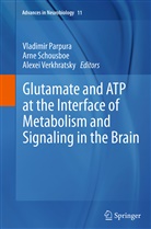 Vladimir Parpura, Arn Schousboe, Arne Schousboe, Alexei Verkhratsky - Glutamate and ATP at the Interface of Metabolism and Signaling in the Brain
