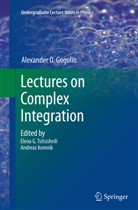 A O Gogolin, A. O. Gogolin, Alexander O. Gogolin, Elen G Tsitsishvili, Elena G Tsitsishvili, Komnik... - Lectures on Complex Integration