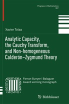 Xavier Tolsa - Analytic Capacity, the Cauchy Transform, and Non-homogeneous Calderón-Zygmund Theory