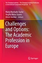 Maria Machado-Taylor, Maria de Lourdes Machado-Taylor, Virgíli Meira Soares, Virgílio Meira Soares, Virgilio Meira Soares, Virgílio Meira Soares... - Challenges and Options: The Academic Profession in Europe