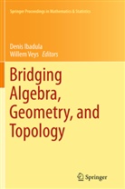 Deni Ibadula, Denis Ibadula, Veys, Veys, Willem Veys - Bridging Algebra, Geometry, and Topology