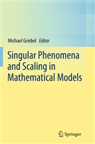 Michae Griebel, Michael Griebel - Singular Phenomena and Scaling in Mathematical Models