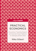 Nika Gilauri - Practical Economics