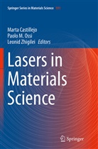 Marta Castillejo, Paol M Ossi, Paolo M Ossi, Paolo M. Ossi, Leonid Zhigilei - Lasers in Materials Science