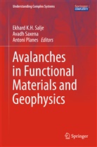 Antoni Planes, Ekhard K. H. Salje, Ekhard K.H. Salje, Avad Saxena, Avadh Saxena - Avalanches in Functional Materials and Geophysics