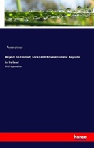 Anonym, Anonymus - Report on District, Local and Private Lunatic Asylums in Ireland
