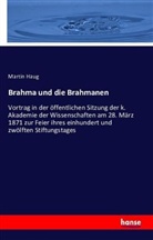 Martin Haug - Brahma und die Brahmanen