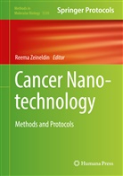 Reem Zeineldin, Reema Zeineldin - Cancer Nanotechnology