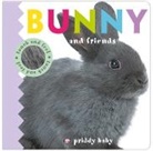 Roger Priddy - Bunny and Friends Touch and Feel