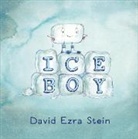 David Ezra Stein, David Ezra Stein - Ice Boy