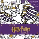 Candlewick Press, Candlewick Press (COR), Insight Editions, Insight Editions - Harry Potter: Winter at Hogwarts: A Magical Coloring Set