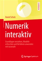 Daniel Scholz - Numerik interaktiv
